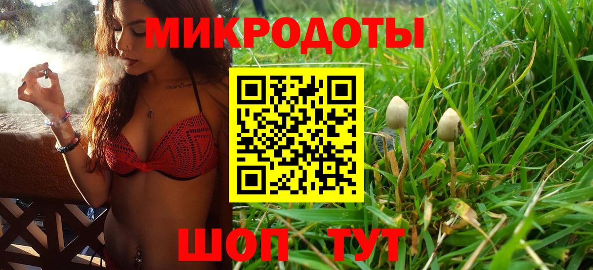 Энгельс  Галлюциногенные грибы Cubensis  Псилоцибиновые грибы Psilocybe  Вход с VPN 